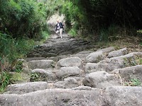 IMG_4205