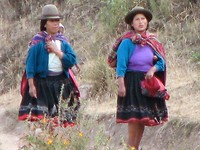 IMG_4361