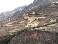 IMG_4401