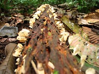 IMG_5787