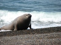 IMG_6984