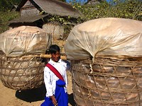 IMG_9811