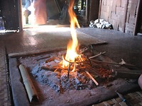 IMG_9833