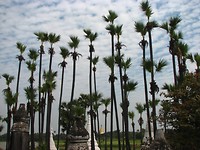 IMG_9952