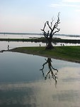 IMG_9982