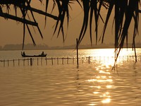 IMG_9993