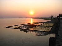 IMG_9998