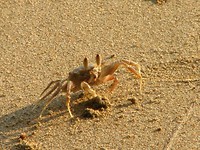 IMG_2259