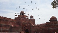 Delhi