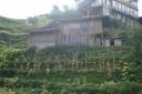 DSC04363