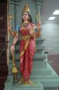 DSC05922