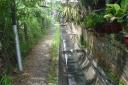 DSC06023