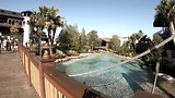 disney springs