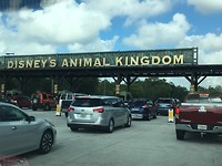 ingang Animal Kingdom