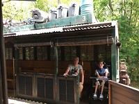 in de wildlife express train