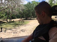 kilimanjaro safari