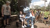 it's a bugs live