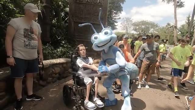 it's a bugs live