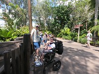 animal kingdom