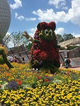 Epcot Gardenfestival
