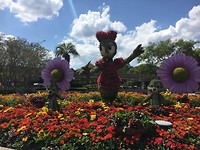 Epcot Gardenfestival
