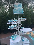 frozen dessertbuffet