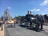 paardentram mainstreet usa