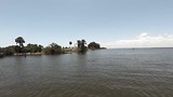 Dolfijnen spotten Cocoa beach