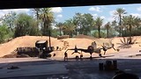 Indiana Jones stunt spectacular