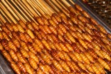 larven