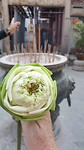 The flower for Boeddha