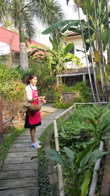 Our teacher explaining about the ingredients growing in the garden