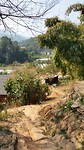 Beginning of the jungle track