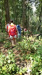 Going down hill
