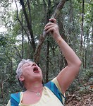 Drinking water out of a vine