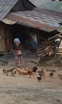 Farmerswife