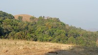 A beautiful view from the mountain
