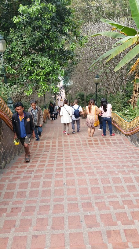 309 steps down