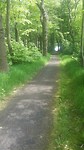 20170517_153321