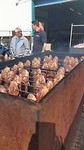 20170520_101012