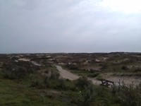 The , scenery along the way