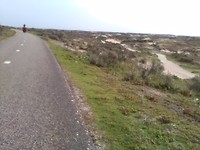 The , scenery along the way