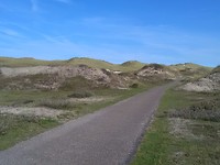 The dunes around Schoorl