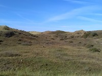 Between Schoorl and Callantsoog