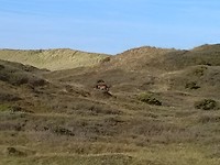 Between Schoorl and Callantsoog