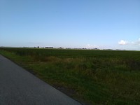 Beautiful nature on the way