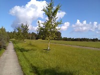 Beautiful nature on the way