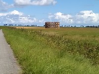 Art at the farm