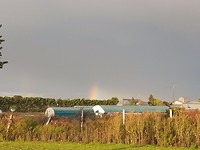 IMG-20170918-WA0014
