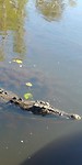 20180414_090828